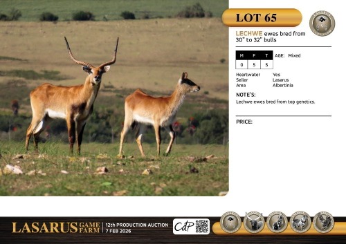 F:5 T:5 X Lechwe ewes bred from 30" to 32" bulls. Lasarus Game Farm (Pay per Animal)