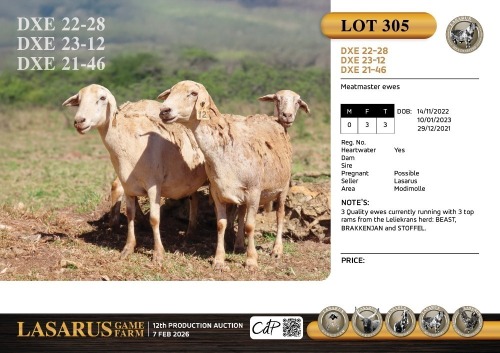 3X Meatmaster ewes Lasarus Game Farm (Pay per Animal)