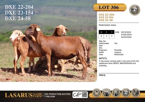 3X Meatmaster ewes Lasarus Game Farm (Pay per Animal)