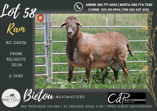 1X MEATMASTER RAM BIETOU MEATMASTERS