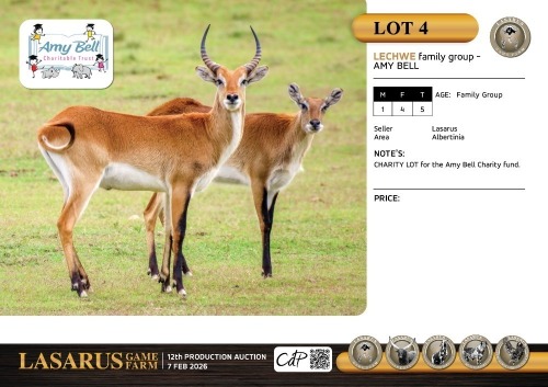 M:1 F:4 T:5 X Lechwe family group - Amy Bell. Lasarus Game Farm (Pay per Animal)