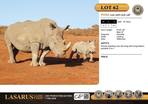 F:1 T:1+1 X Rhino cow with bull calf. Lasarus Game Farm