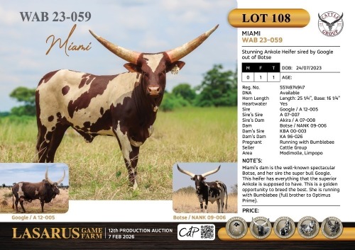 1X Cattle Group