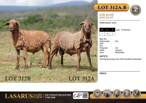 1X Meatmaster rams Lasarus Game Farm