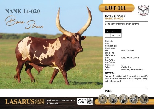 10X Bona conventional semen straws Cattle Group (Pay per Straw)