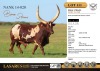 10X Bona conventional semen straws Cattle Group (Pay per Straw)