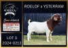 1 X BOER GOAT FLOCK ON TEAT BUCK Karsten Boerbokke PTY LTD
