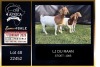 1+2 X BOER GOAT FLOCK ON COLOUR DOE LJ du Raan