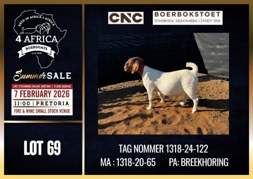 WITHDRAWN - 1 X BOER GOAT DOE CNC Boerdery