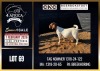 WITHDRAWN - 1 X BOER GOAT DOE CNC Boerdery