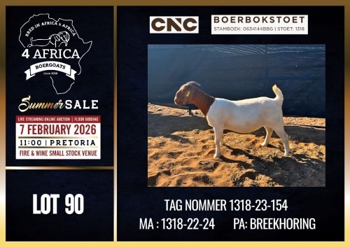 1 X BOER GOAT FLOCK DOE CNC Boerdery