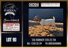 1 X BOER GOAT FLOCK DOE CNC Boerdery