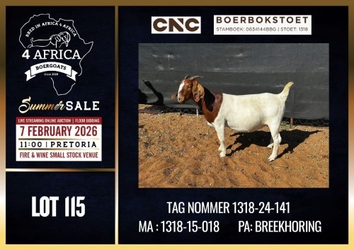 1 X BOER GOAT FLOCK DOE CNC Boerdery