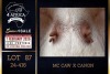 1 X BOER GOAT STUD DOE PREGNANT Milamiek Boerbokstoet - 4