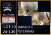 1+1 X BOER GOAT STUD DOE Karsten Boerbokke PTY LTD - 2