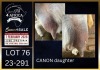 1+1 X BOER GOAT FLOCK ON COLOUR DOE Karsten Boerbokke PTY LTD - 2