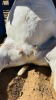 WITHDRAWN - 1 X BOER GOAT DOE CNC Boerdery - 2