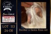 1 X BOER GOAT FLOCK ON COLOUR DOE PREGNANT Milamiek Boerbokstoet - 2
