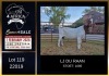 1 X BOER GOAT FLOCK DOE PREGNANT LJ du Raan