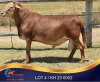 1 X MEATMASTER RAM Kleine Halte