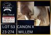 1+1 X BOER GOAT STUD DOE Karsten Boerbokke PTY LTD - 2