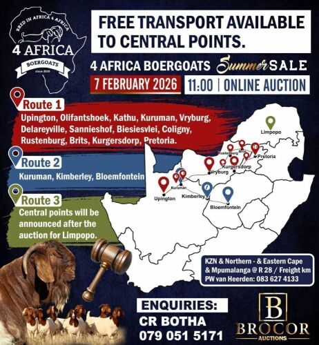 TRANSPORT AVAILABLE