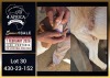 1 X BOER GOAT FLOCK ON COLOUR DOE Booysen Bdy - 2