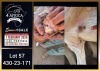 1 X BOER GOAT STUD DOE Booysen Bdy - 2