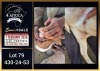 1 X BOER GOAT FLOCK ON TEAT DOE Booysen Bdy - 2