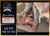 1 X BOER GOAT FLOCK ON COLOUR DOE Booysen Bdy - 2