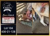 1 X BOER GOAT FLOCK ON COLOUR DOE Booysen Bdy - 2