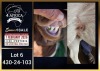 1 X BOER GOAT STUD BUCK Booysen Bdy - 2