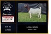 1 X BOER GOAT FLOCK ON COLOUR DOE PREGNANT LJ du Raan