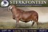 1 X MEATMASTER RAM Sterkfontein Meamtasters