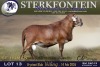 1 X MEATMASTER RAM Sterkfontein Meamtasters - 2
