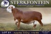 1 X MEATMASTER RAM Sterkfontein Meamtasters