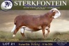 1 X MEATMASTER RAM Sterkfontein Meamtasters - 2