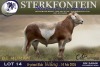 1 X MEATMASTER RAM Sterkfontein Meamtasters