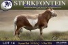 1 X MEATMASTER RAM Sterkfontein Meamtasters - 3