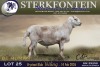 1 X MEATMASTER RAM Sterkfontein Meamtasters