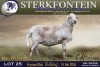 1 X MEATMASTER RAM Sterkfontein Meamtasters - 2