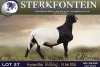 1 X MEATMASTER RAM Sterkfontein Meamtasters - 3