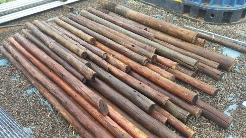 1 X Wooden poles of various sizes Vanderbijlpark
