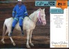 1 X CROSS BLUE EYE GELDING MM MYBURGH