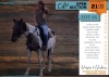 1 X ARABIAN X PAINT MARIE MARE FRANCOIS VAN LOGGRENBERG