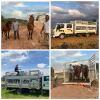 TRANSPORT AVAILABLE