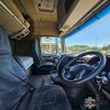 1 X 2019 DAF XF 105.460 6X4 HORSE STOCK NR: 1683 - 11