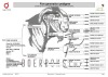 1 X BOER GOAT STUD DOE F2 Boerbokstoet - 2