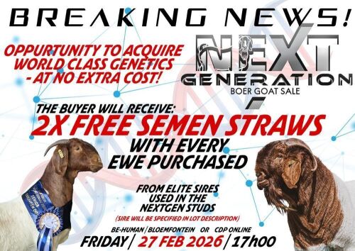 BREAKING NEWS!