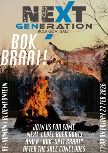 BOK BRAAI!